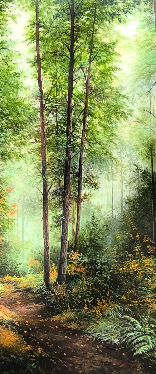 Forest Path in Soft Light by Sergei Miqaielyan