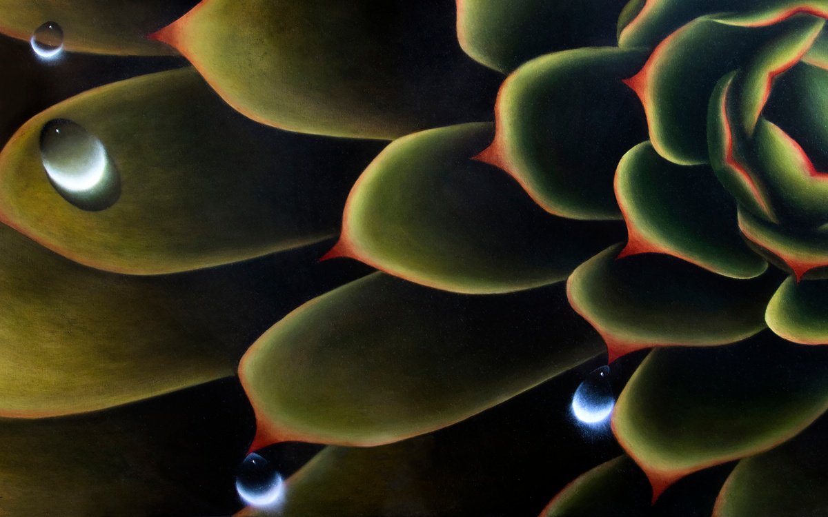 Photorealistic Botanical Oil Painting By Juan Bernal, 48 X 30", "Suculent With Dew, Original Artwork