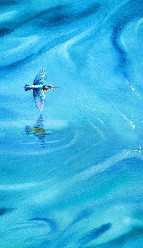 Kingfisher above the water surface by Karolina Kijak