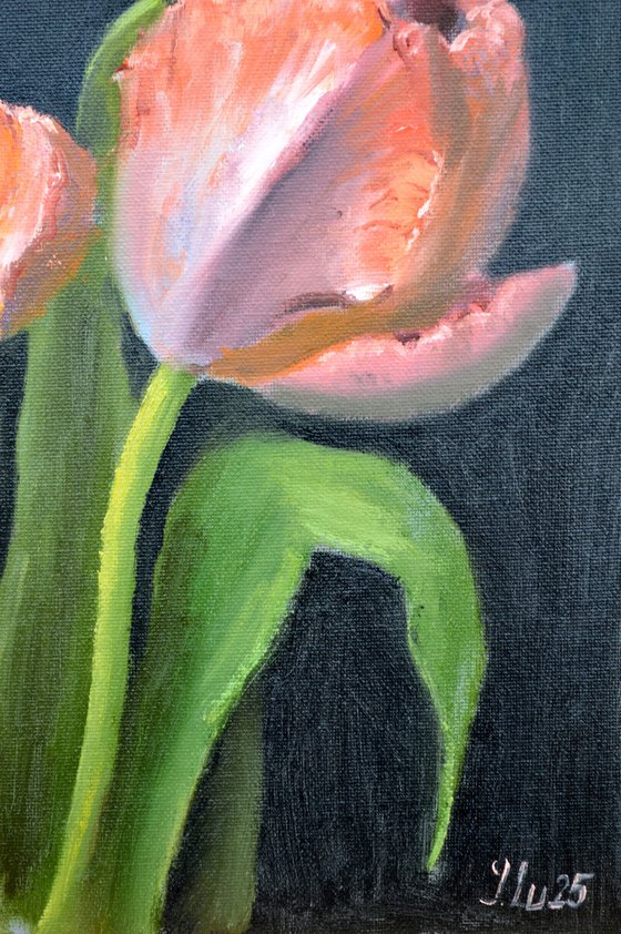Coral tulips 4