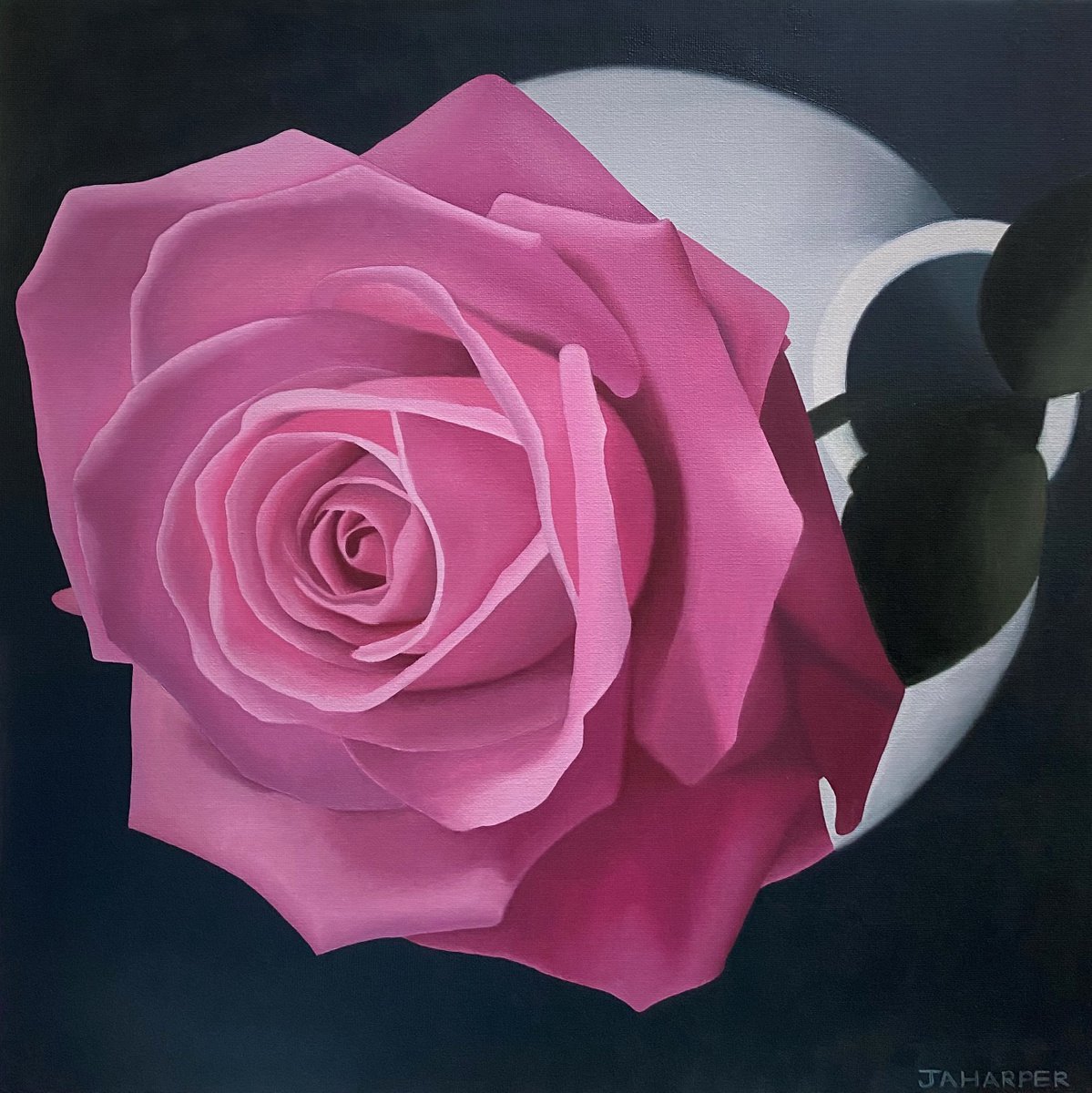 Photorealistic Botanical Oil Painting By Jill Ann Harper, 18 X 18, Rose In A White Vase, Original Artwork