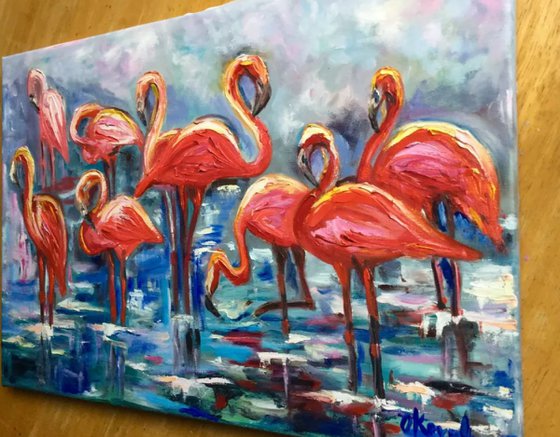 ORANGE FLAMINGOS