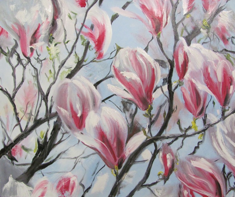 Magnolia Oil Painting By Valeriia Radziievska Artfinder