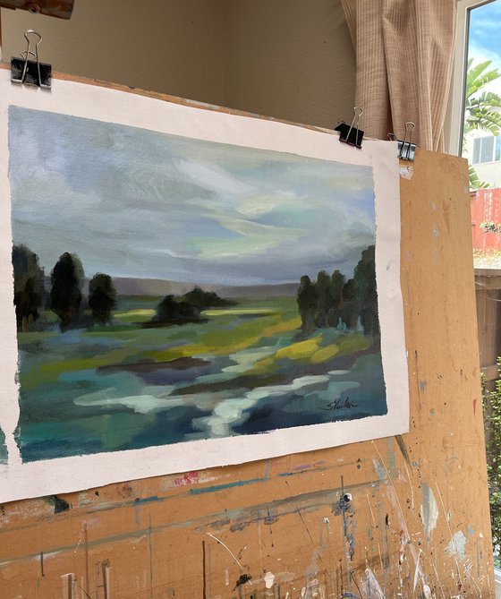 Spring Stream
