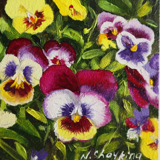 Tiny Pansies