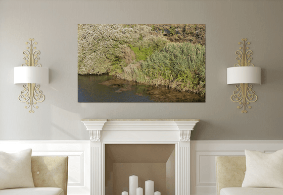 WL#117 River I