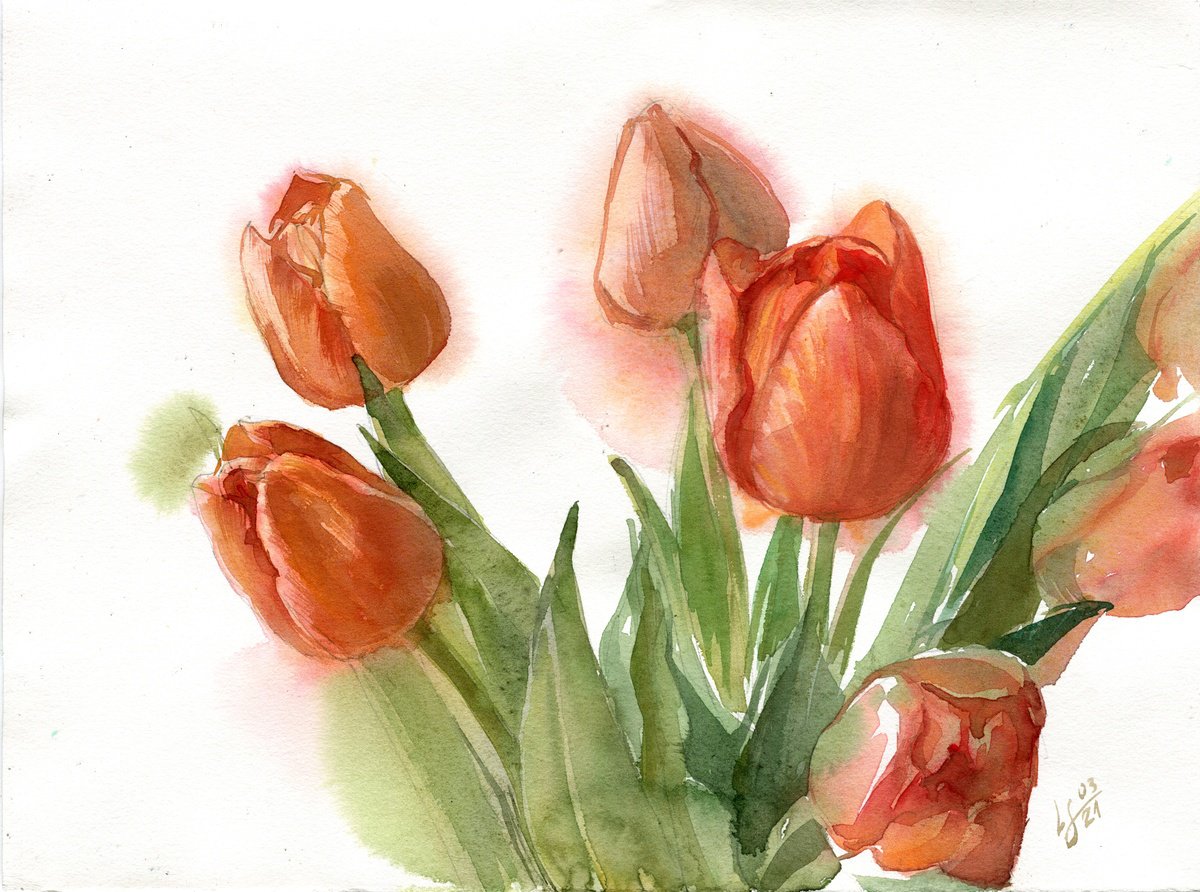 Red Tulip Bouquet on a white background by SVITLANA LAGUTINA