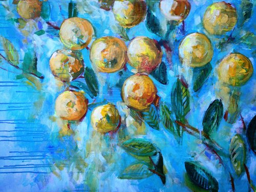 clementins by Olga Pascari