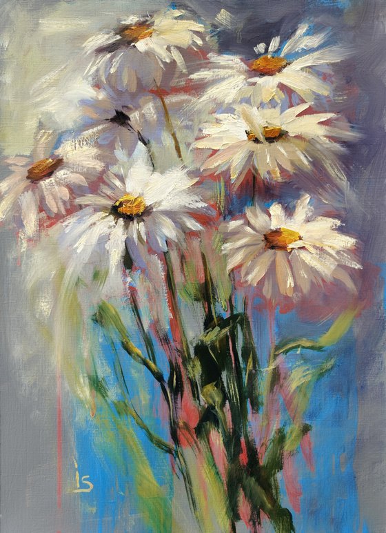Garden daisies from my friends