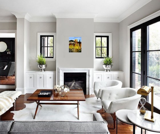 Summer in Provence - 4523