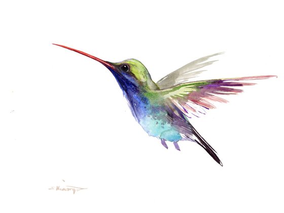 Hummingbird