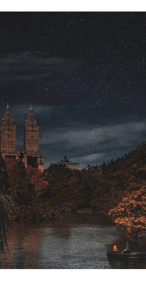 Central Park - 30 x 24"-  Dusk Series by Brooke T Ryan