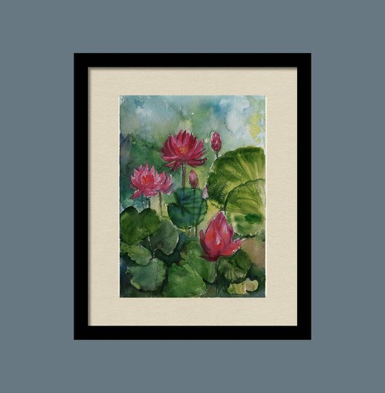 Monsoon Garden Water Lilies 2