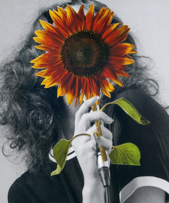 The Singing Sunflower