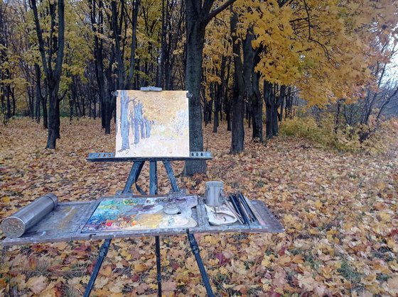 Golden maples in the park