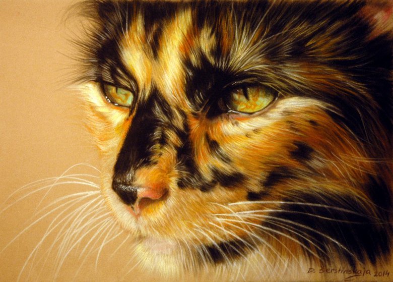 American Art Awards Winner "Tortoiseshell Cat" Pastel drawing by