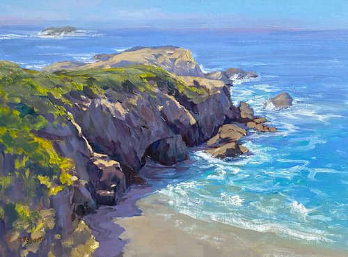 Point Lobos' Hidden Cove by Tatyana Fogarty