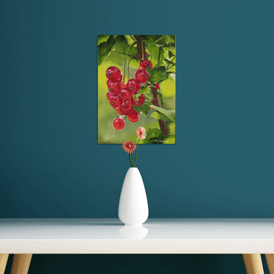 Redcurrants in Garden Light