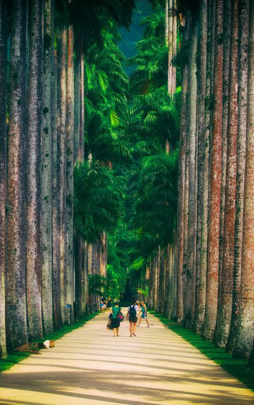 National Park Walk by Marc Ehrenbold