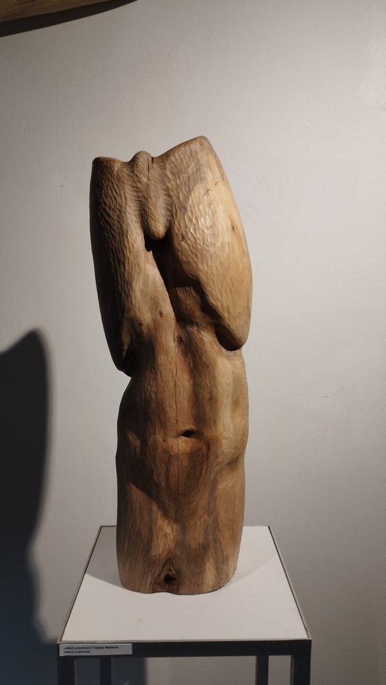 Torso