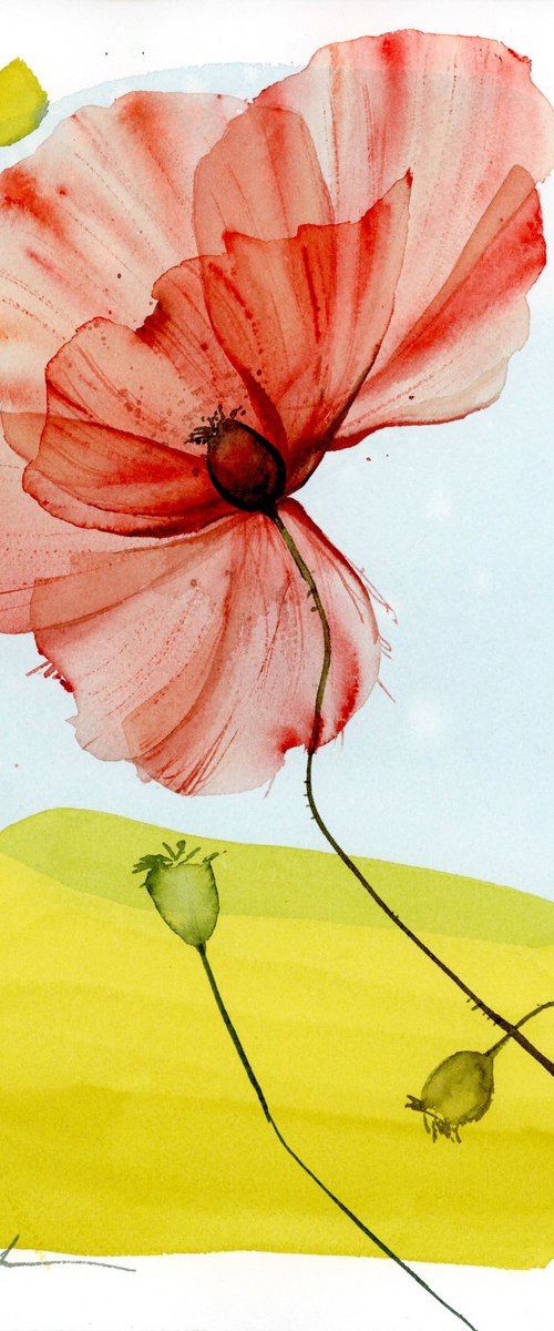 Tuscany Memories by Olga Koelsch