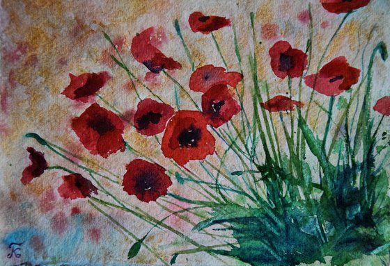 Floral watercolor painting on craft paper Red poppies with golden sky