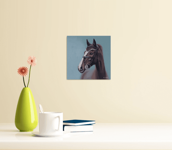 Horse Portrait 41