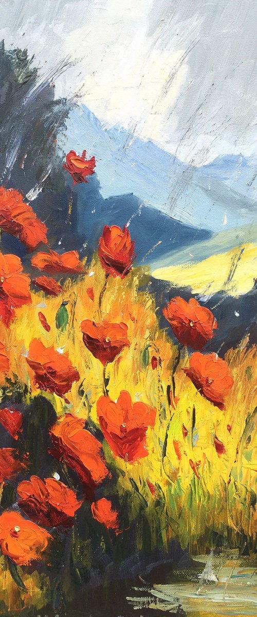 Poppies in rain by Elena Sokolova