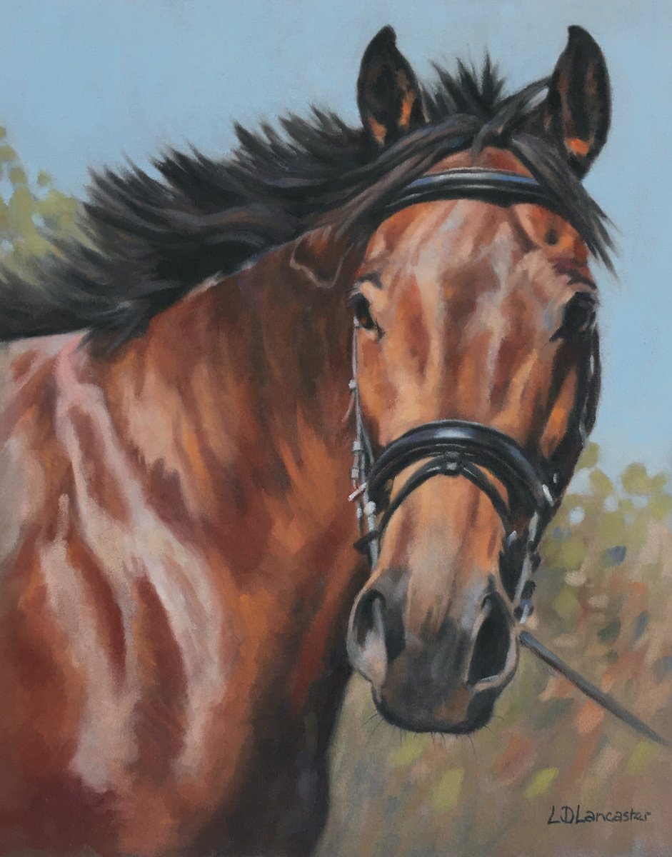 Alert - Bright Bay Horse by Lorna Lancaster ASEA