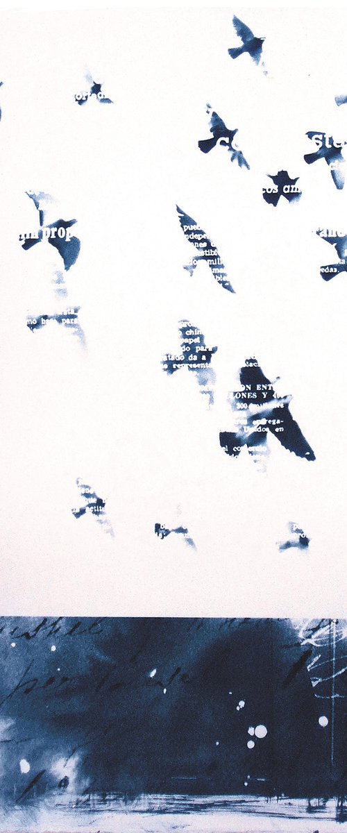 Cyanotype_03_A2_42x60 cm_Birds by Manel Villalonga