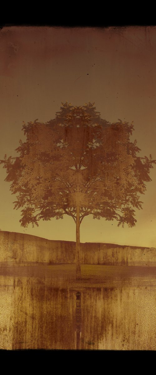 Copper tree by Louise O'Gorman