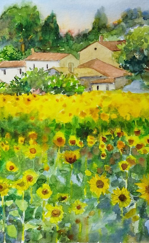 Field of yellow sunflowers by Ann Krasikova