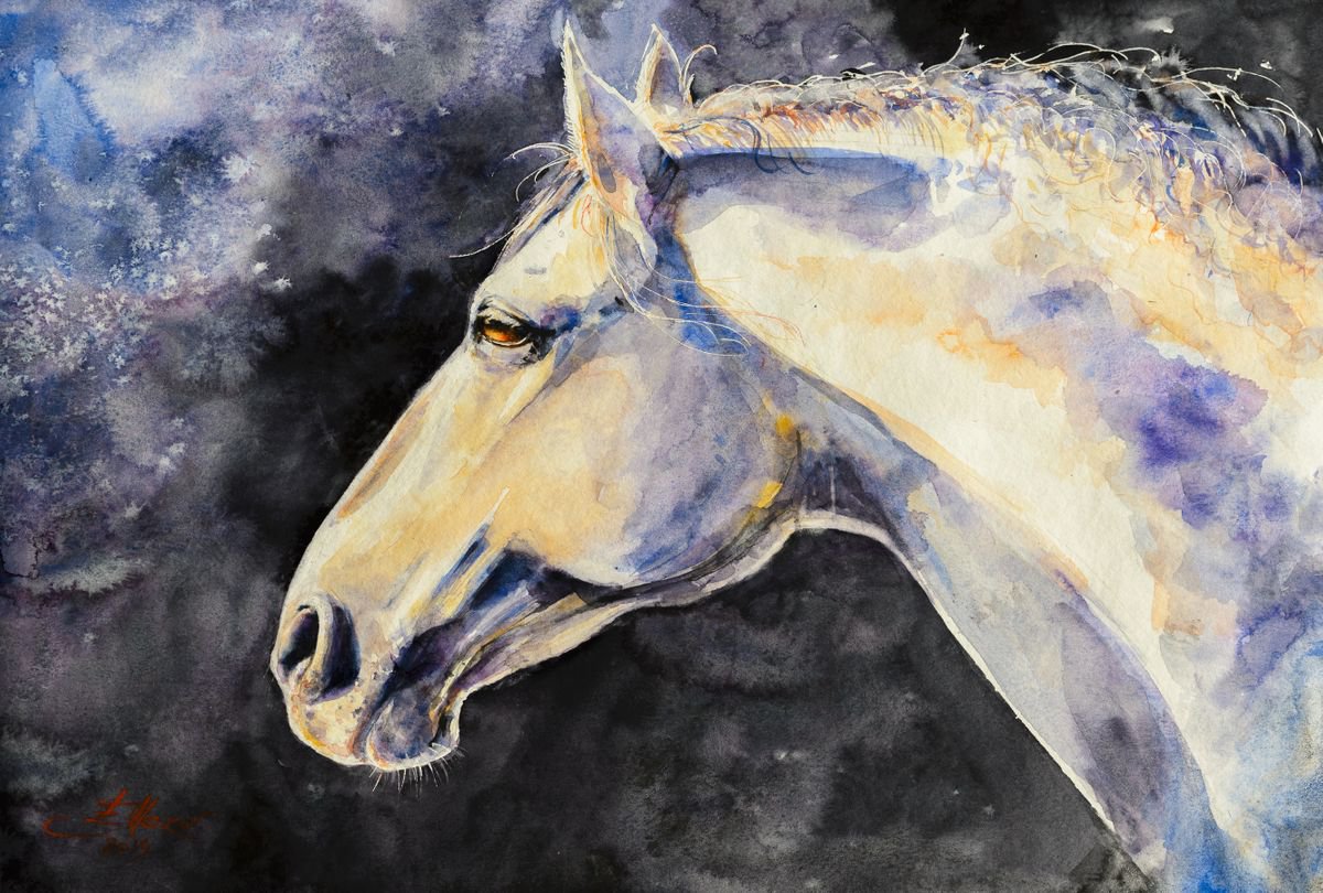 Impressionistic Animal Watercolour By Eve Mazur, 20 X 14, Gray Horse, Original Artwork