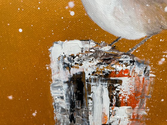 Red Robin in the Snow