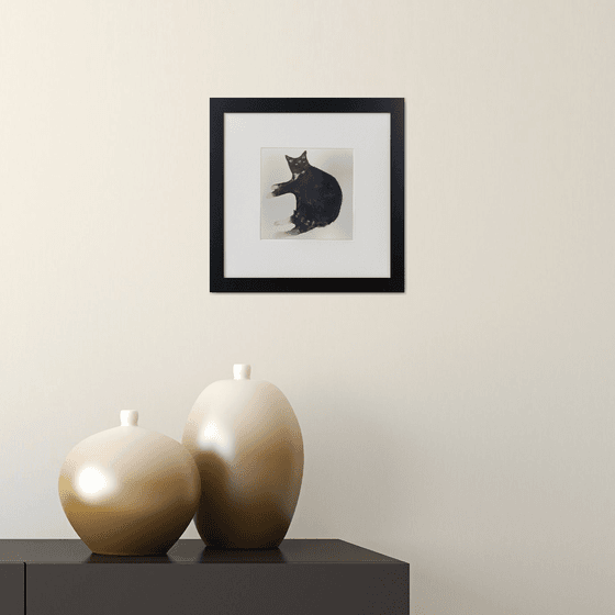 Mr Poo George the Cat framed