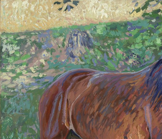 Horse in the shade of trees