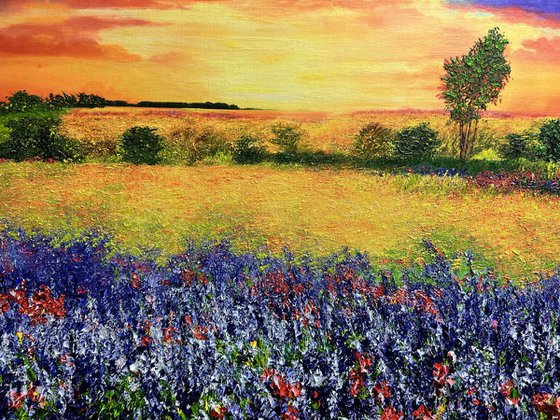 Where Wildflowers Meet the Sky