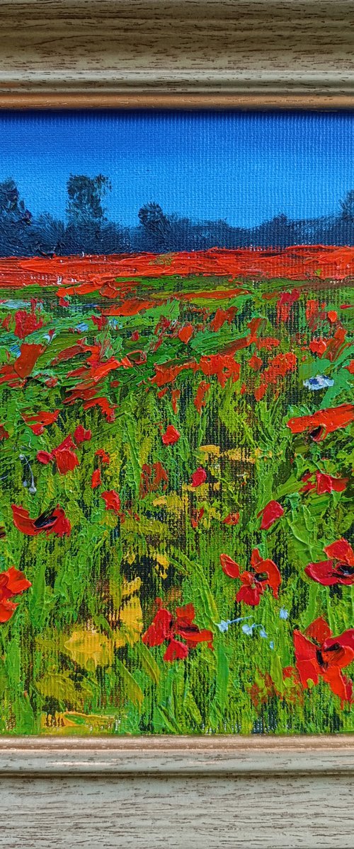 Field of Poppies by Salana Art / Svetlana Samovarova