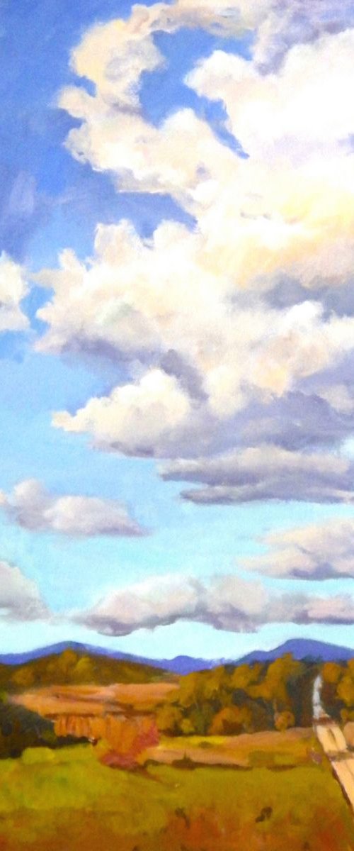 Meandering Clouds by Ingrid Dohm