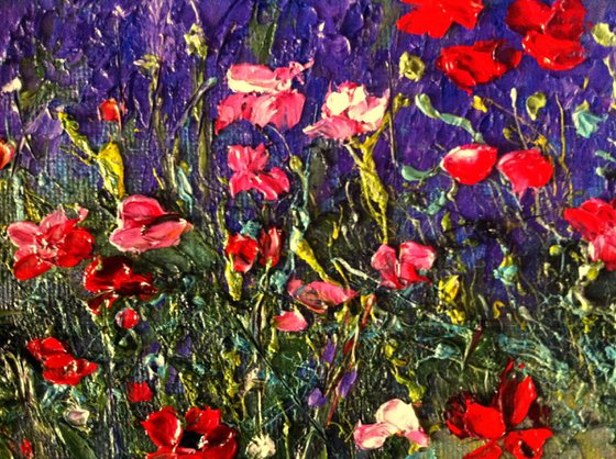Poppies and lavender