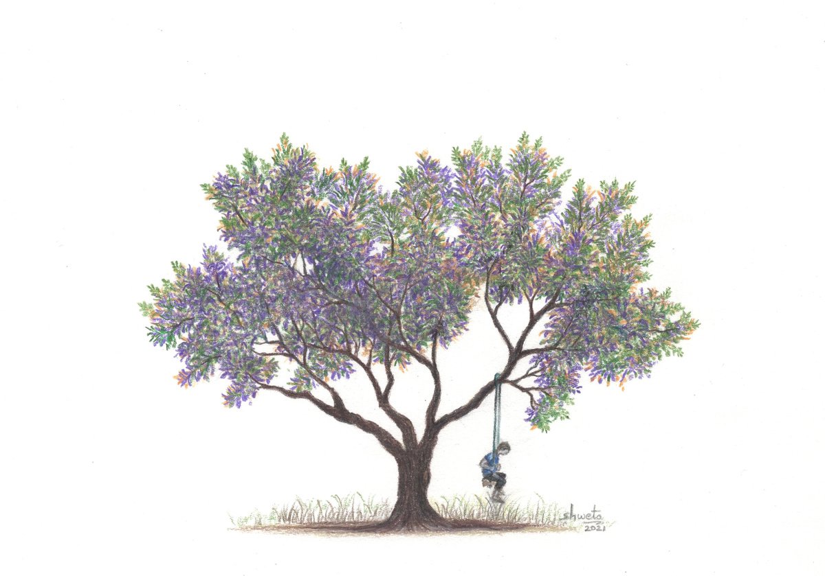 Boy on the Tree Swing Coloured Pencil Drawing by Shweta Mahajan