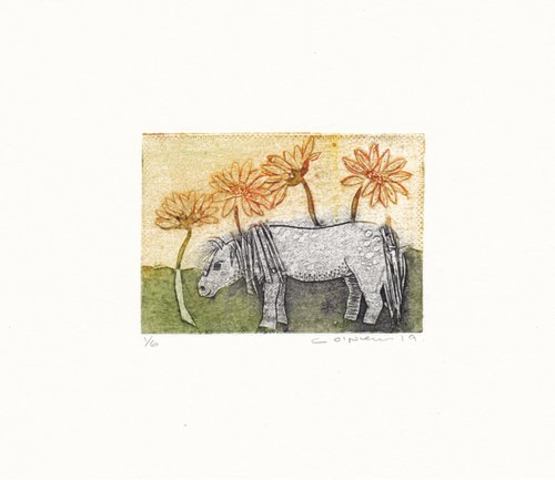 Pony amongst the Sunflowers by Catherine O’Neill