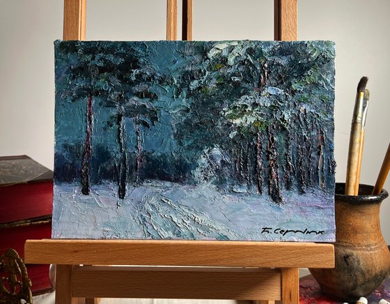 Winter Trail in the Forest