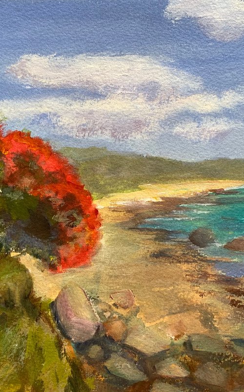 NZ summer by Shelly Du