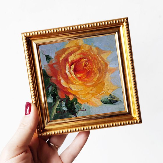 Orange rose