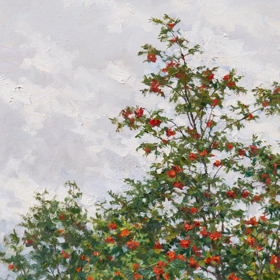 Rowan Tree