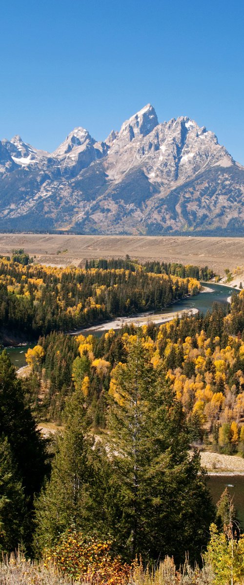 Snake River Overlook, Wyoming by Alex Cassels