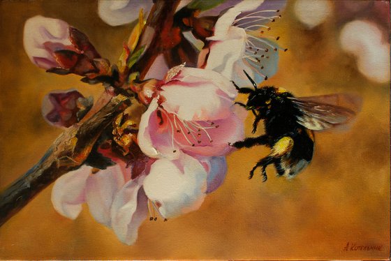 "Furry Bumblebee"  spring apple tree flower bumblbee liGHt original painting  GIFT (2016)
