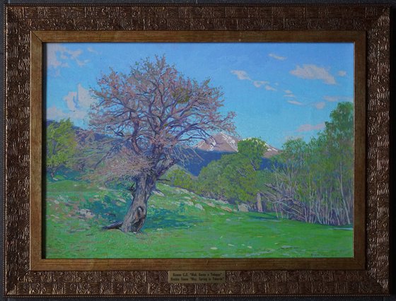 May. Spring in Teberda