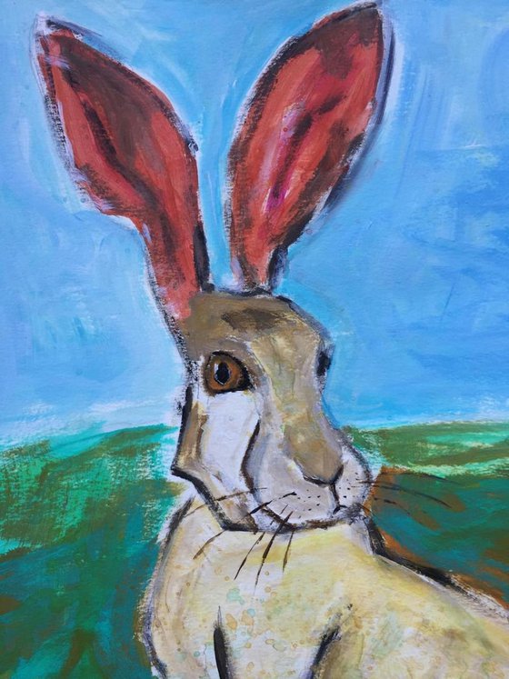Hare on a nice day